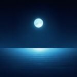 Inspiring the World, One Project at a Time for the man